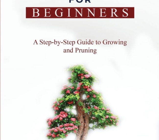 Bonsai for Beginners: A Step-by-Step Guide to Growing and Pruning