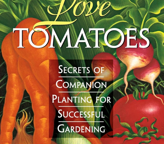 Carrots Love Tomatoes: Secrets of Companion Planting for Successful Gardening