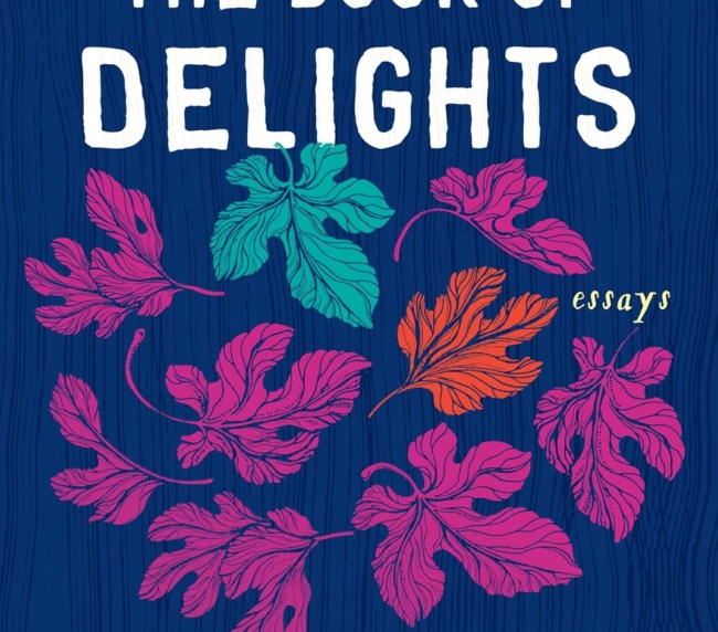 The Book of Delights: Essays