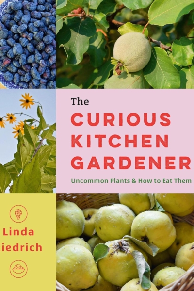 The Curious Kitchen Gardener: Uncommon Plants and How to Eat Them