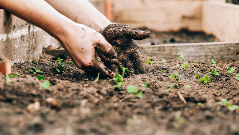 Gardening