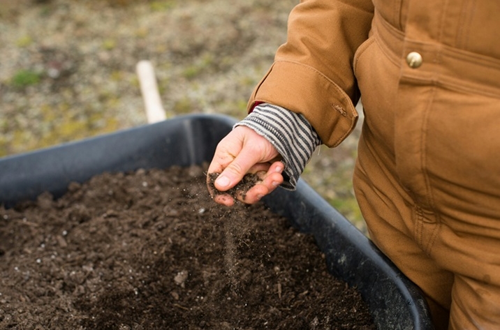 Man garden soil