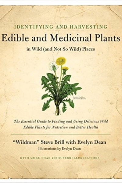 Identifying and Harvesting Edible and Medicinal Plants in Wild (and Not So Wild) Places