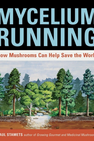 Mycelium Running: How Mushrooms Can Help Save the World