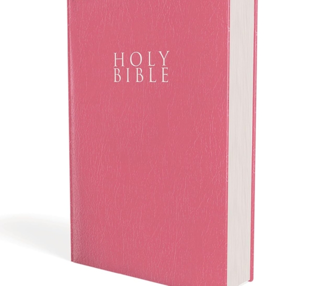 NIV, Gift and Award Bible, Leather-Look, Pink, Red Letter, Comfort Print