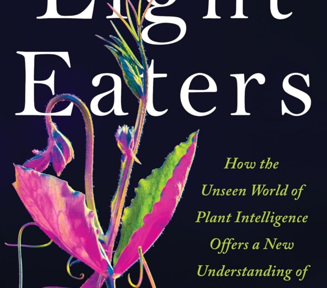 The Light Eaters: How the Unseen World of Plant Intelligence Offers a New Understanding of Life on Earth