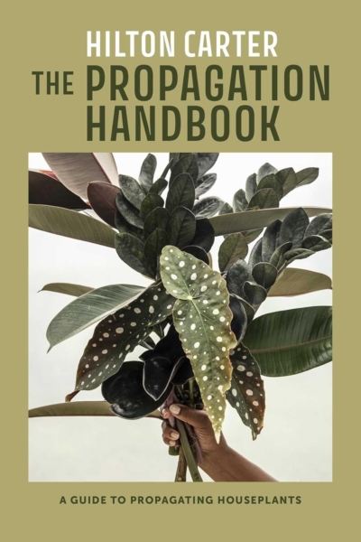 The Propagation Handbook: A guide to propagating houseplants